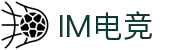 im电竞·(中国)电子竞技平台